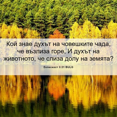 Picture 06 - Еклесиаст 3:21 BULG - Кой знае духът на - Bible Verse Picture