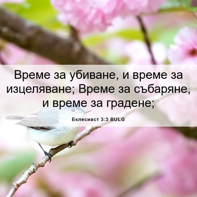 Picture 06 - Еклесиаст 3:3 BULG - Време за убиване, и време - Bible Verse Picture