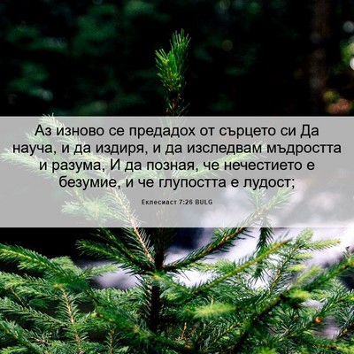 Picture 06 - Еклесиаст 7:26 BULG - Аз изново се предадох от - Bible Verse Picture