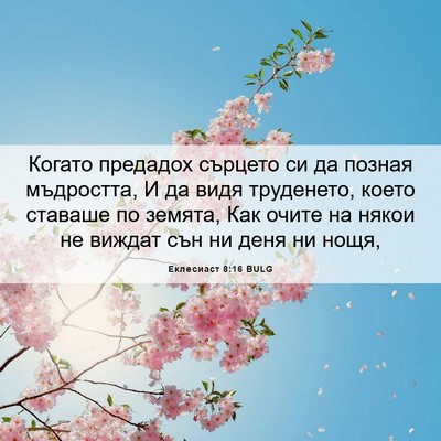 Picture 06 - Еклесиаст 8:16 BULG - Когато предадох сърцето си - Bible Verse Picture