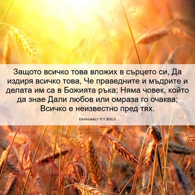 Picture 06 - Еклесиаст 9:1 BULG - Защото всичко това вложих - Bible Verse Picture