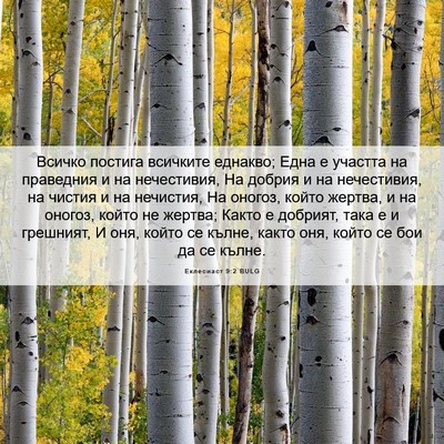 Picture 06 - Еклесиаст 9:2 BULG - Всичко постига всичките - Bible Verse Picture