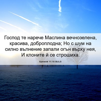 Picture 06 - Еремия 11:16 BULG - Господ те нарече Маслина - Bible Verse Picture