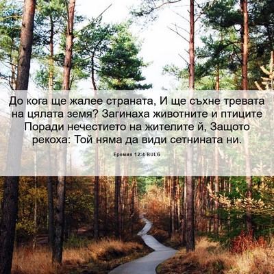 Picture 06 - Еремия 12:4 BULG - До кога ще жалее страната, - Bible Verse Picture