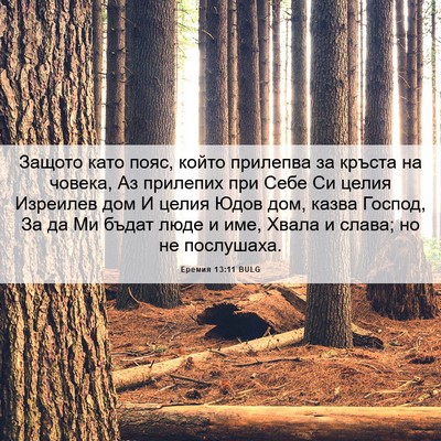 Picture 06 - Еремия 13:11 BULG - Защото като пояс, който - Bible Verse Picture