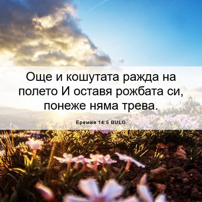 Picture 06 - Еремия 14:5 BULG - Още и кошутата ражда на - Bible Verse Picture