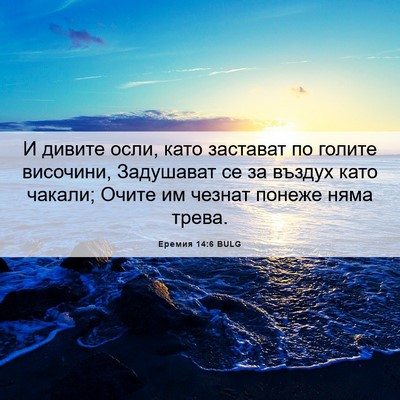 Picture 06 - Еремия 14:6 BULG - И дивите осли, като - Bible Verse Picture