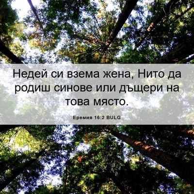 Picture 06 - Еремия 16:2 BULG - Недей си взема жена, Нито - Bible Verse Picture