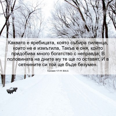Picture 06 - Еремия 17:11 BULG - Каквато е яребицата, която - Bible Verse Picture
