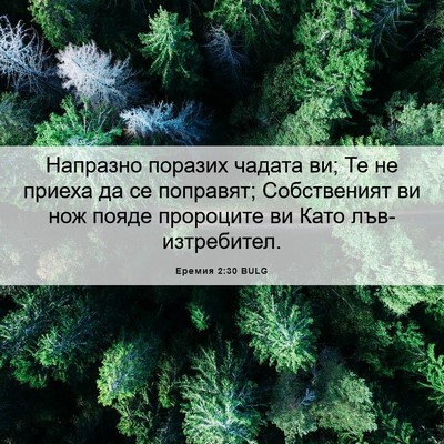 Picture 06 - Еремия 2:30 BULG - Напразно поразих чадата - Bible Verse Picture