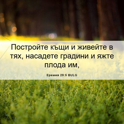 Picture 06 - Еремия 29:5 BULG - Постройте къщи и живейте в - Bible Verse Picture