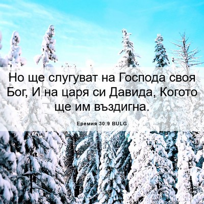 Picture 06 - Еремия 30:9 BULG - Но ще слугуват на Господа - Bible Verse Picture