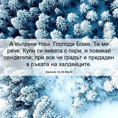 Picture 06 - Еремия 32:25 BULG - А въпреки това, Господи - Bible Verse Picture