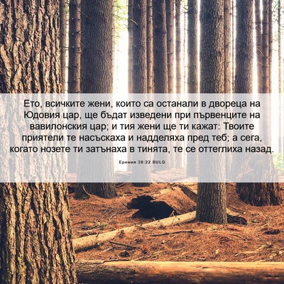 Picture 06 - Еремия 38:22 BULG - Ето, всичките жени, които - Bible Verse Picture