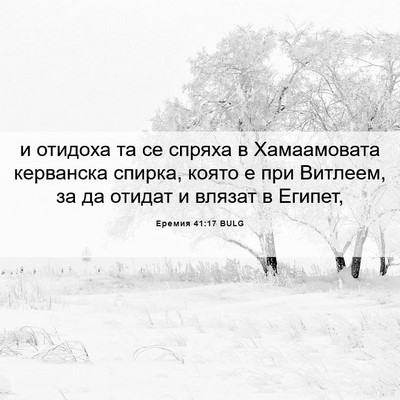 Picture 06 - Еремия 41:17 BULG - и отидоха та се спряха в - Bible Verse Picture