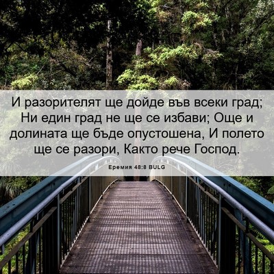 Picture 06 - Еремия 48:8 BULG - И разорителят ще дойде във - Bible Verse Picture