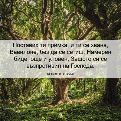 Picture 06 - Еремия 50:24 BULG - Поставих ти примка, и ти се - Bible Verse Picture