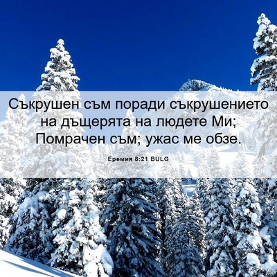 Picture 06 - Еремия 8:21 BULG - Съкрушен съм поради - Bible Verse Picture