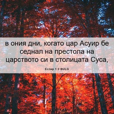Picture 06 - Естир 1:2 BULG - в ония дни, когато цар - Bible Verse Picture