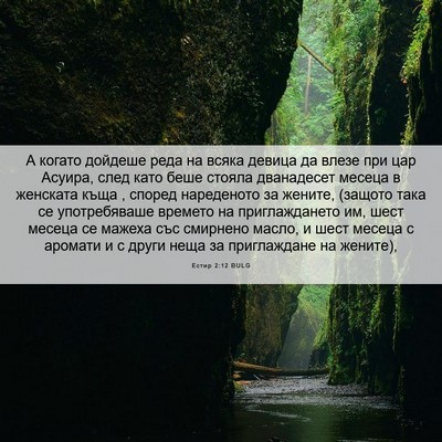 Picture 06 - Естир 2:12 BULG - А когато дойдеше реда на - Bible Verse Picture