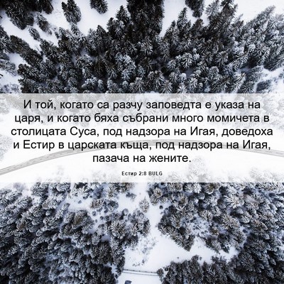 Picture 06 - Естир 2:8 BULG - И той, когато са разчу - Bible Verse Picture