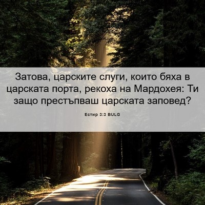 Picture 06 - Естир 3:3 BULG - Затова, царските слуги, - Bible Verse Picture