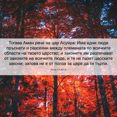 Picture 06 - Естир 3:8 BULG - Тогава Аман рече на цар - Bible Verse Picture