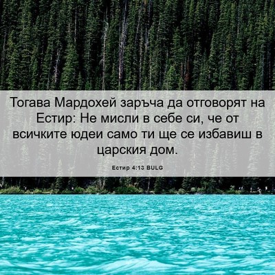 Picture 06 - Естир 4:13 BULG - Тогава Мардохей заръча да - Bible Verse Picture