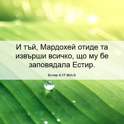 Picture 06 - Естир 4:17 BULG - И тъй, Мардохей отиде та - Bible Verse Picture