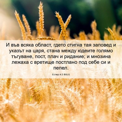 Picture 06 - Естир 4:3 BULG - И във всяка област, гдето - Bible Verse Picture