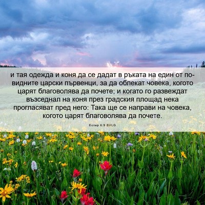 Picture 06 - Естир 6:9 BULG - и тая одежда и коня да се - Bible Verse Picture