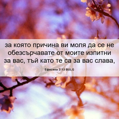 Picture 06 - Ефесяни 3:13 BULG - за която причина ви моля да - Bible Verse Picture