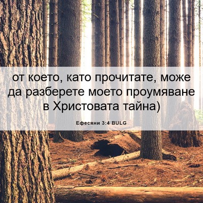 Picture 06 - Ефесяни 3:4 BULG - от което, като прочитате, - Bible Verse Picture