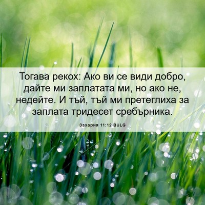 Picture 06 - Захария 11:12 BULG - Тогава рекох: Ако ви се - Bible Verse Picture