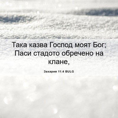 Picture 06 - Захария 11:4 BULG - Така казва Господ моят Бог; - Bible Verse Picture