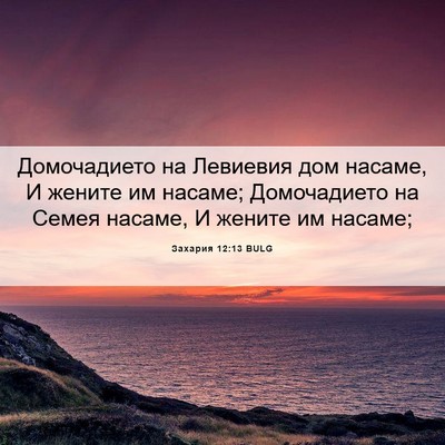 Picture 06 - Захария 12:13 BULG - Домочадието на Левиевия - Bible Verse Picture
