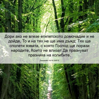 Picture 06 - Захария 14:18 BULG - Дори ако не влезе - Bible Verse Picture