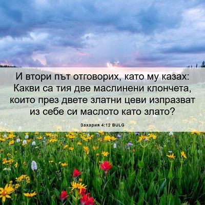Picture 06 - Захария 4:12 BULG - И втори път отговорих, като - Bible Verse Picture