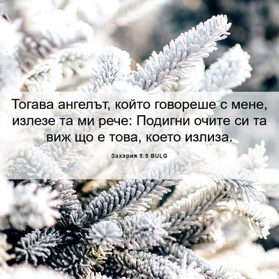 Picture 06 - Захария 5:5 BULG - Тогава ангелът, който - Bible Verse Picture