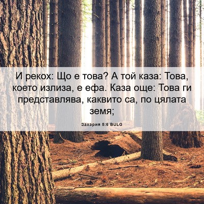 Picture 06 - Захария 5:6 BULG - И рекох: Що е това? А той - Bible Verse Picture