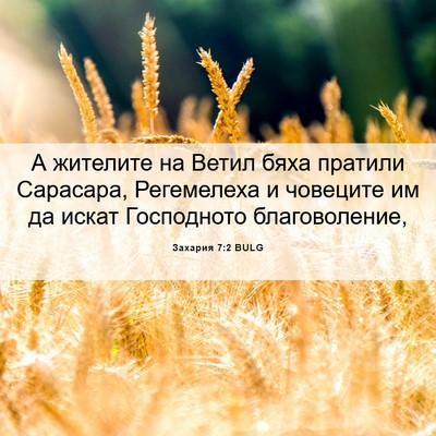 Picture 06 - Захария 7:2 BULG - А жителите на Ветил бяха - Bible Verse Picture