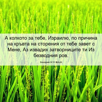 Picture 06 - Захария 9:11 BULG - А колкото за тебе, Израилю, - Bible Verse Picture