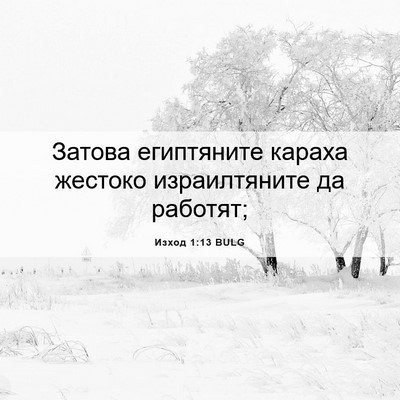 Picture 06 - Изход 1:13 BULG - Затова египтяните караха - Bible Verse Picture