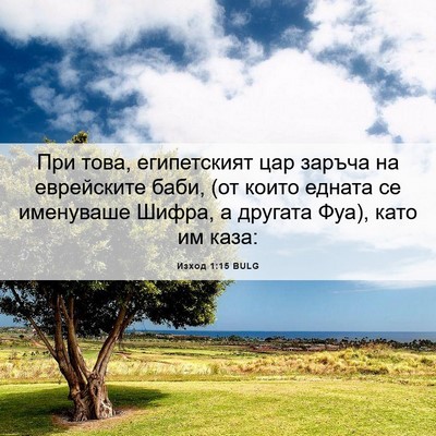 Picture 06 - Изход 1:15 BULG - При това, египетският цар - Bible Verse Picture