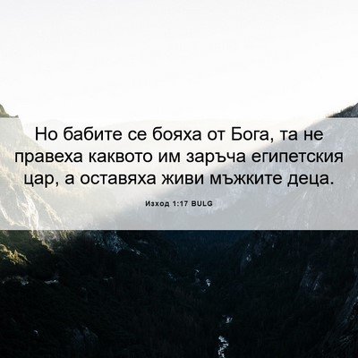 Picture 06 - Изход 1:17 BULG - Но бабите се бояха от Бога, - Bible Verse Picture