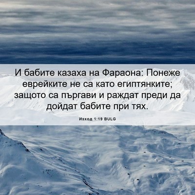 Picture 06 - Изход 1:19 BULG - И бабите казаха на Фараона: - Bible Verse Picture