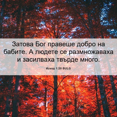 Picture 06 - Изход 1:20 BULG - Затова Бог правеше добро - Bible Verse Picture