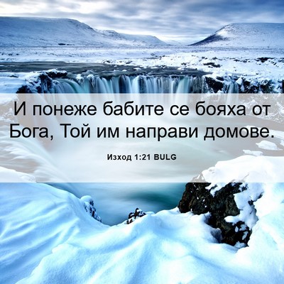 Picture 06 - Изход 1:21 BULG - И понеже бабите се бояха от - Bible Verse Picture