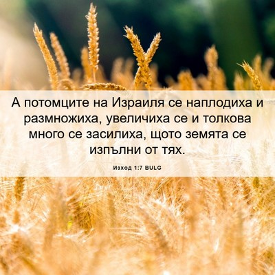 Picture 06 - Изход 1:7 BULG - А потомците на Израиля се - Bible Verse Picture