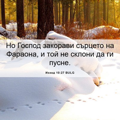 Picture 06 - Изход 10:27 BULG - Но Господ закорави сърцето - Bible Verse Picture